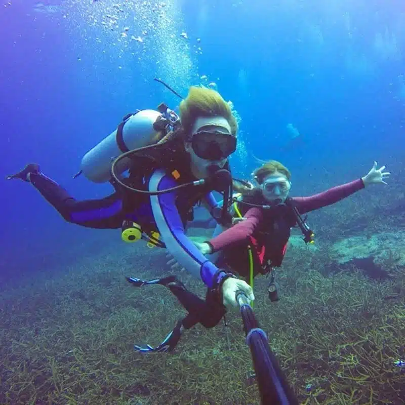 dive buddy